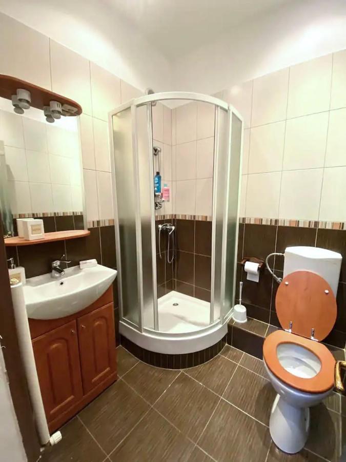 Harmony Homes- Piata Unirii Central Apartament Τιμισοάρα Εξωτερικό φωτογραφία