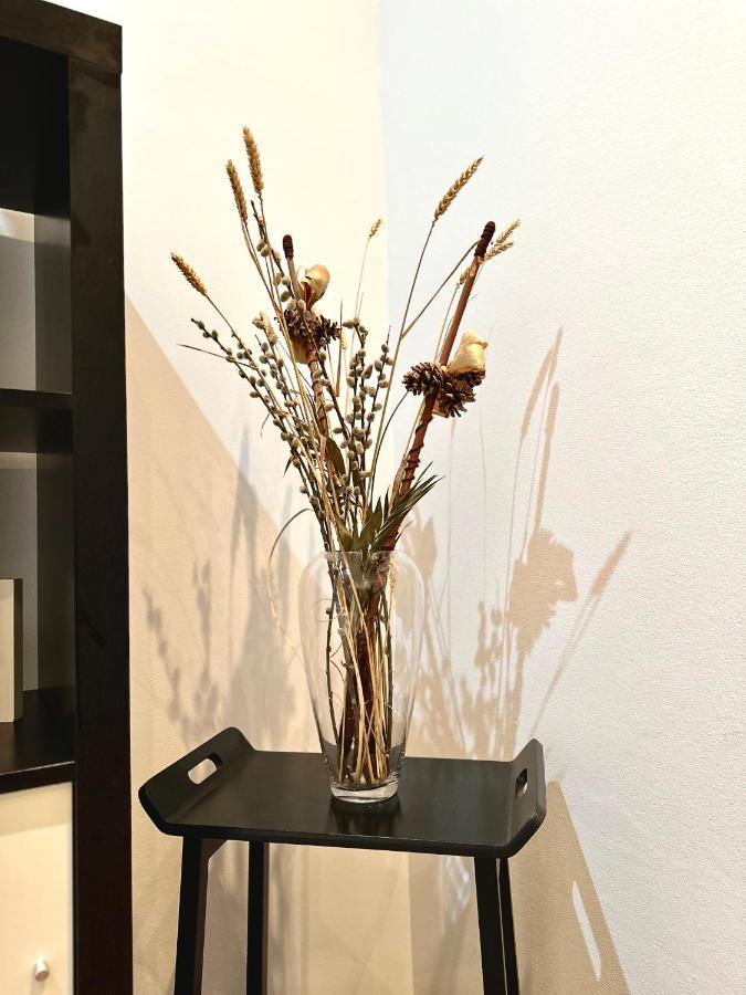 Harmony Homes- Piata Unirii Central Apartament Τιμισοάρα Εξωτερικό φωτογραφία
