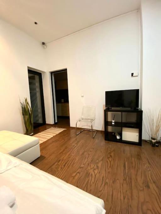 Harmony Homes- Piata Unirii Central Apartament Τιμισοάρα Εξωτερικό φωτογραφία