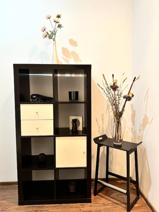 Harmony Homes- Piata Unirii Central Apartament Τιμισοάρα Εξωτερικό φωτογραφία