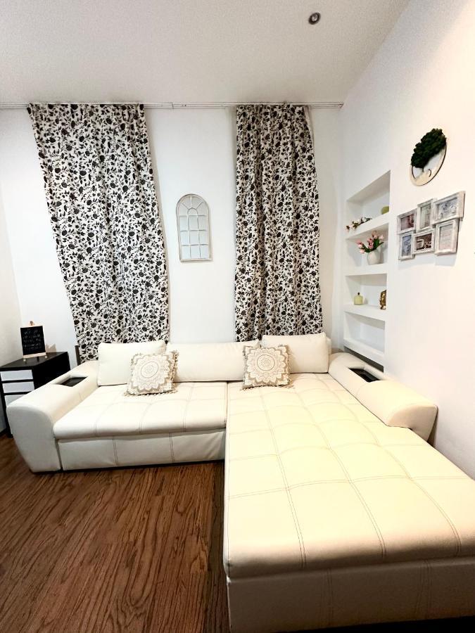 Harmony Homes- Piata Unirii Central Apartament Τιμισοάρα Εξωτερικό φωτογραφία