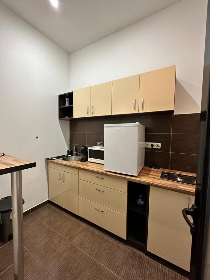Harmony Homes- Piata Unirii Central Apartament Τιμισοάρα Εξωτερικό φωτογραφία