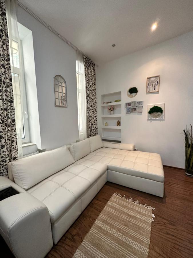 Harmony Homes- Piata Unirii Central Apartament Τιμισοάρα Εξωτερικό φωτογραφία