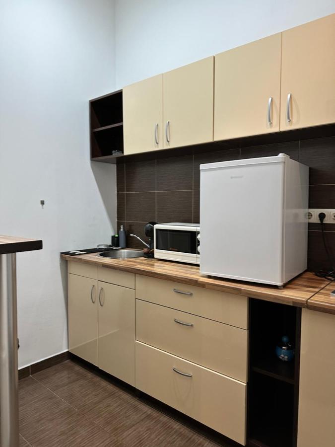 Harmony Homes- Piata Unirii Central Apartament Τιμισοάρα Εξωτερικό φωτογραφία